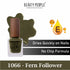 1066-fern-follower